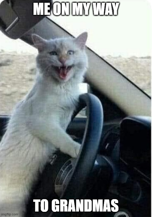 always me |  ME ON MY WAY; TO GRANDMAS | image tagged in crazy cat drives car laughing cat in car,grandmas,cat | made w/ Imgflip meme maker