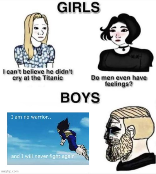 Do men even have feelings | image tagged in do men even have feelings,dragon ball,dragon ball z,vegeta,i can't believe he didn't cry during titanic | made w/ Imgflip meme maker