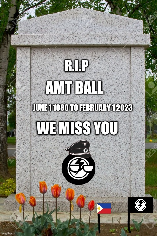 We miss you amt countryball Blank Meme Template