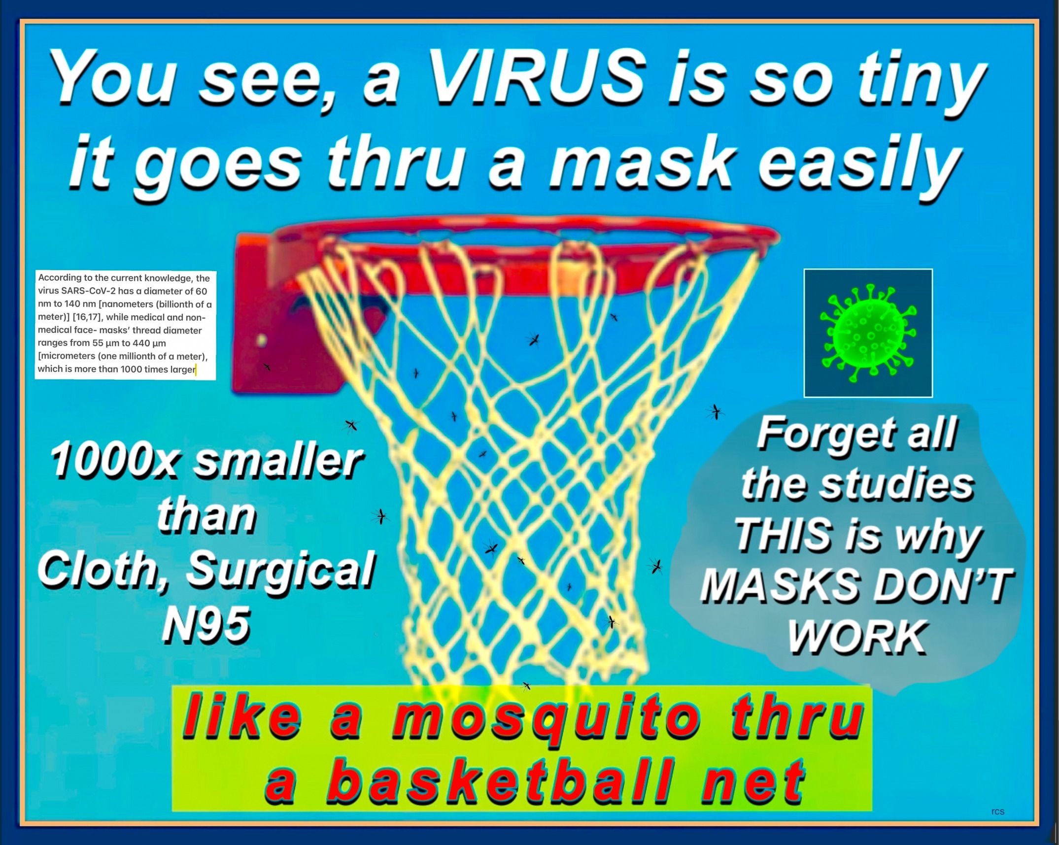 Masks, Nets & Mosquitos Blank Meme Template