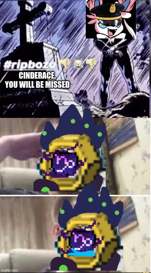 "She was a good person."- Melmezor at Cinderace's funeral | CINDERACE. YOU WILL BE MISSED | image tagged in rip bozo,crying salute | made w/ Imgflip meme maker