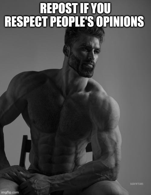 Giga Chad | REPOST IF YOU RESPECT PEOPLE'S OPINIONS | image tagged in giga chad | made w/ Imgflip meme maker