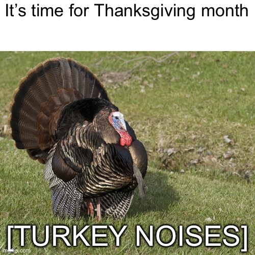 It’s time | It’s time for Thanksgiving month; [TURKEY NOISES] | image tagged in thanksgiving,funny,memes | made w/ Imgflip meme maker