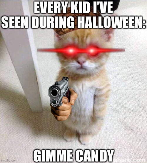 Cute Cat Meme - Imgflip, donate please meme 