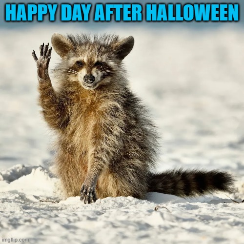 HAPPY DAY AFTER HALLOWEEN | made w/ Imgflip meme maker