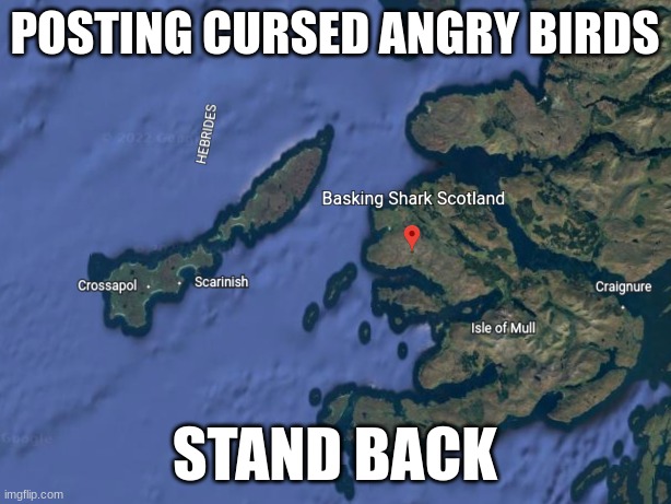 POSTING CURSED ANGRY BIRDS; STAND BACK | made w/ Imgflip meme maker