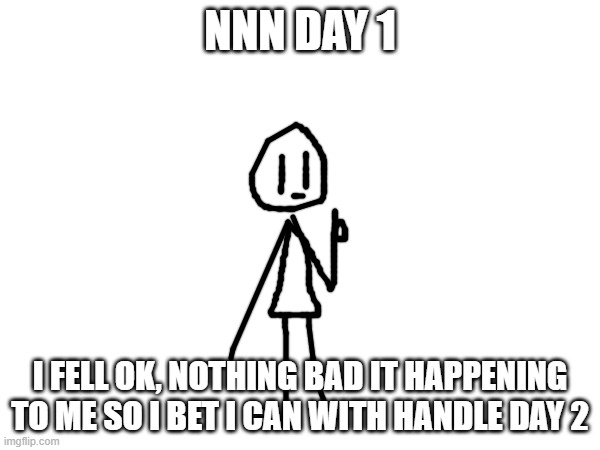 Nnn Day 1 | NNN DAY 1; I FELL OK, NOTHING BAD IT HAPPENING TO ME SO I BET I CAN WITH HANDLE DAY 2 | image tagged in nnn | made w/ Imgflip meme maker
