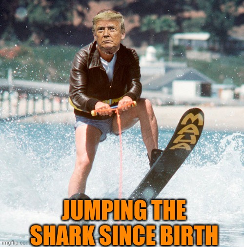 jump the shark | JUMPING THE SHARK SINCE BIRTH | image tagged in jump the shark | made w/ Imgflip meme maker