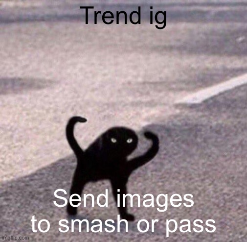 Cursed cat temp | Trend ig; Send images to smash or pass | image tagged in cursed cat temp | made w/ Imgflip meme maker