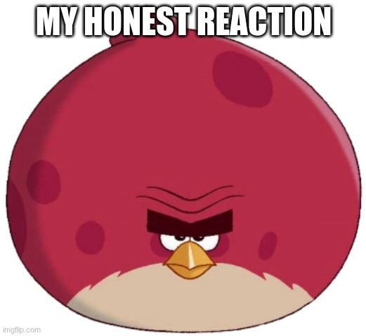 Terence (Angry Birds Toons style) | MY HONEST REACTION | image tagged in terence angry birds toons style | made w/ Imgflip meme maker