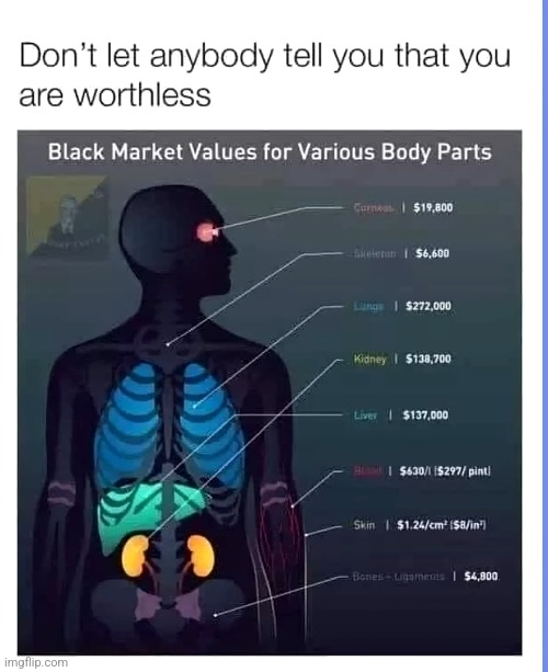 image tagged in funny memes | made w/ Imgflip meme maker