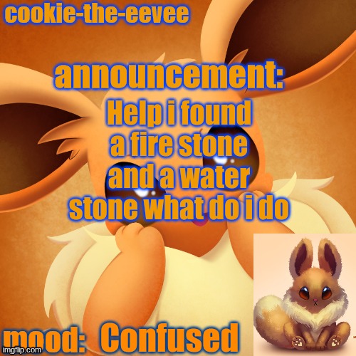 Help | Help i found a fire stone and a water stone what do i do; Confused | image tagged in cookie-the-eevee announcement temp | made w/ Imgflip meme maker