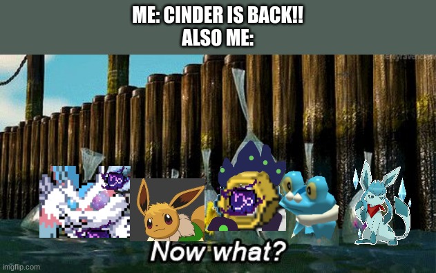 Now What? | ME: CINDER IS BACK!!
ALSO ME: | image tagged in now what | made w/ Imgflip meme maker