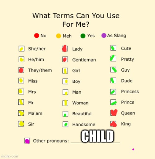 E (Loki's Note: E) | CHILD | image tagged in pronouns sheet | made w/ Imgflip meme maker