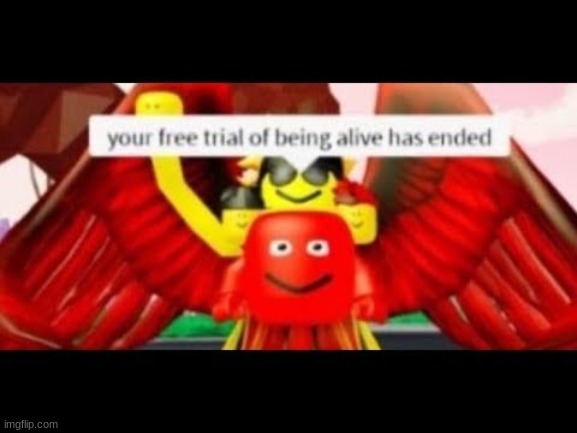 :) | image tagged in roblox meme,roblox,cursed roblox image | made w/ Imgflip meme maker