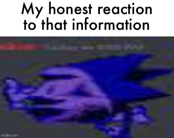 my honest reaction | image tagged in my honest reaction | made w/ Imgflip meme maker