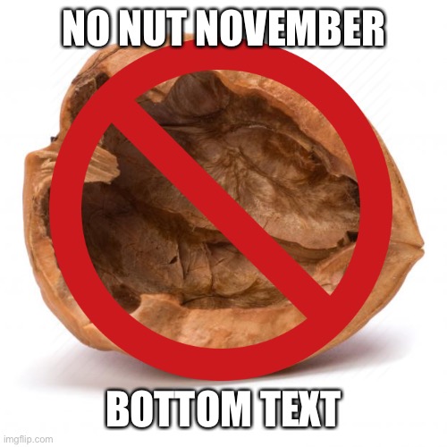 No Nut November | NO NUT NOVEMBER; BOTTOM TEXT | image tagged in memes,nuts,no nut november,november,funny,imgflip | made w/ Imgflip meme maker
