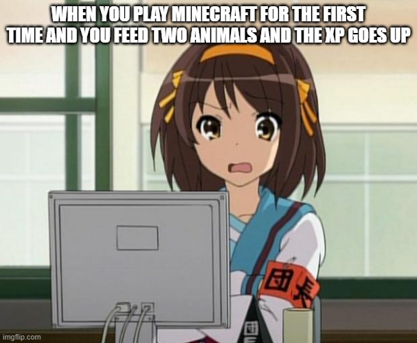 AAAAAAAAAAAAAAAAAAAAAAAAAAAAAAAAAAAAAAAAAAAAAAAAAAAAAAAAAAAAAAAAAAAAAAAAAAAAAAAAGH |  WHEN YOU PLAY MINECRAFT FOR THE FIRST TIME AND YOU FEED TWO ANIMALS AND THE XP GOES UP | image tagged in haruhi internet disturbed,why minecraft,whyyyyy,ew,xp | made w/ Imgflip meme maker