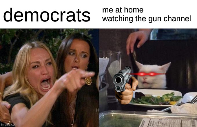 Woman Yelling At Cat | democrats; me at home watching the gun channel | image tagged in memes,woman yelling at cat | made w/ Imgflip meme maker