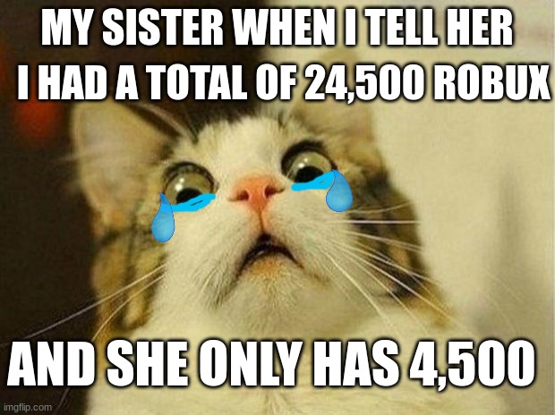 Its so true UvU | I HAD A TOTAL OF 24,500 ROBUX; MY SISTER WHEN I TELL HER; AND SHE ONLY HAS 4,500 | image tagged in memes,scared cat | made w/ Imgflip meme maker