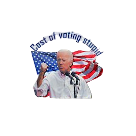 High Quality joe biden stupid Blank Meme Template