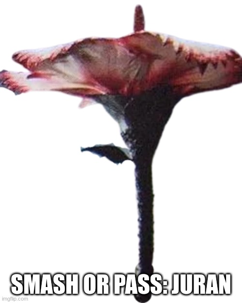 Juran | SMASH OR PASS: JURAN | image tagged in juran | made w/ Imgflip meme maker