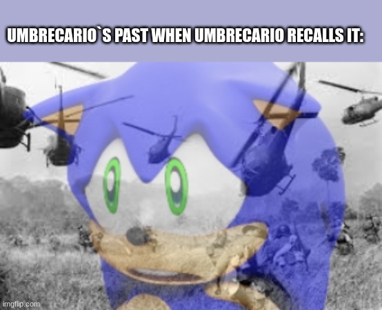 ... | UMBRECARIO`S PAST WHEN UMBRECARIO RECALLS IT: | image tagged in sonic veitnam war | made w/ Imgflip meme maker