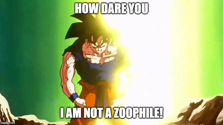 Angry Goku | HOW DARE YOU I AM NOT A ZOOPHILE! | image tagged in angry goku | made w/ Imgflip meme maker