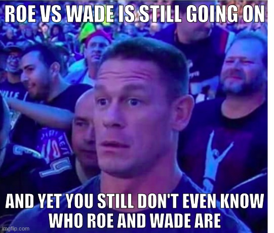 Who Are Roe and Wade | ROE VS WADE IS STILL GOING ON; AND YET YOU STILL DON'T EVEN KNOW
WHO ROE AND WADE ARE | image tagged in shocked john cena | made w/ Imgflip meme maker