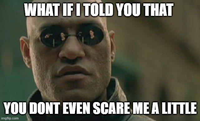 Matrix Morpheus Meme | WHAT IF I TOLD YOU THAT YOU DONT EVEN SCARE ME A LITTLE | image tagged in memes,matrix morpheus | made w/ Imgflip meme maker