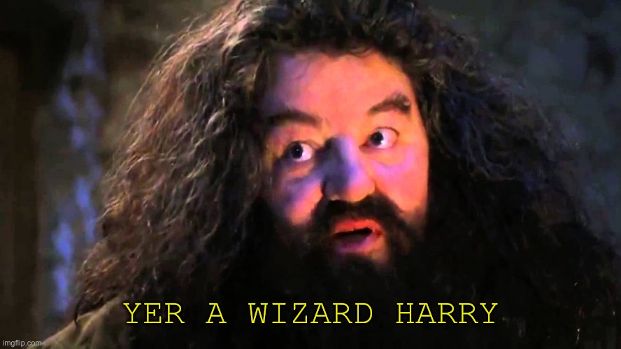 Yer a wizard Harry | YER A WIZARD HARRY | image tagged in yer a wizard harry | made w/ Imgflip meme maker