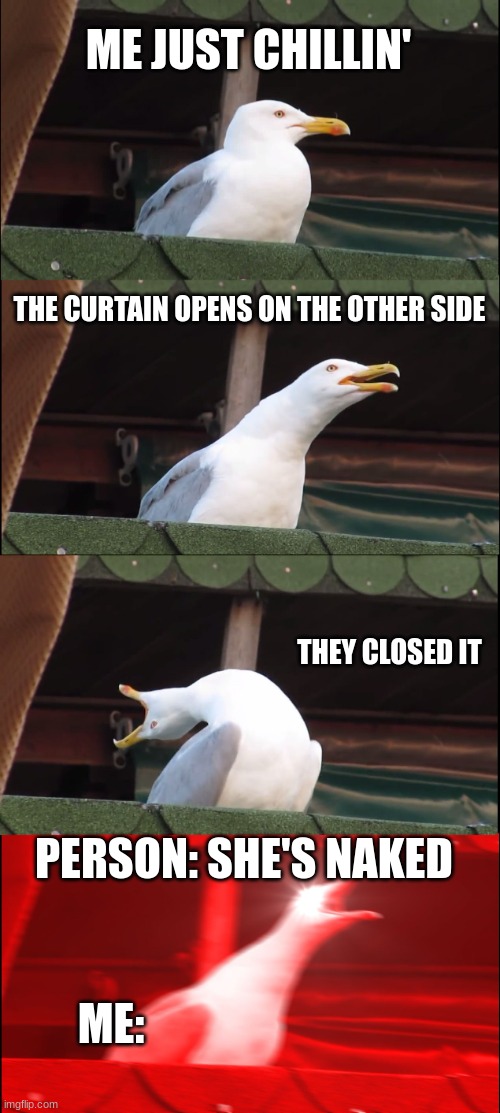 Inhaling Seagull | ME JUST CHILLIN'; THE CURTAIN OPENS ON THE OTHER SIDE; THEY CLOSED IT; PERSON: SHE'S NAKED; ME: | image tagged in memes,inhaling seagull | made w/ Imgflip meme maker