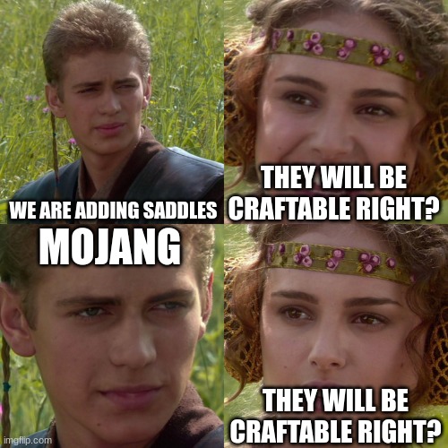 Mojang Be Like | WE ARE ADDING SADDLES; THEY WILL BE CRAFTABLE RIGHT? MOJANG; THEY WILL BE CRAFTABLE RIGHT? | image tagged in anakin padme 4 panel,mojang,minecraft | made w/ Imgflip meme maker
