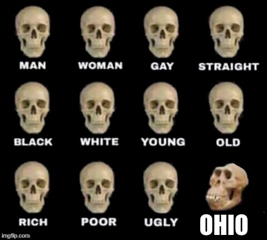 idiot skull | OHIO | image tagged in idiot skull | made w/ Imgflip meme maker