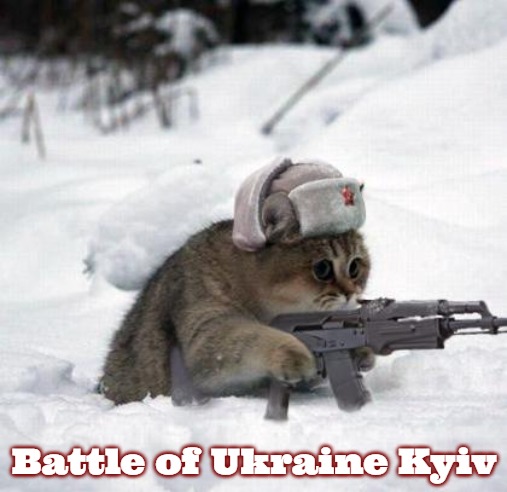 Cute Sad Soviet War Kitten | Battle of Ukraine Kyiv | image tagged in cute sad soviet war kitten,slavic | made w/ Imgflip meme maker