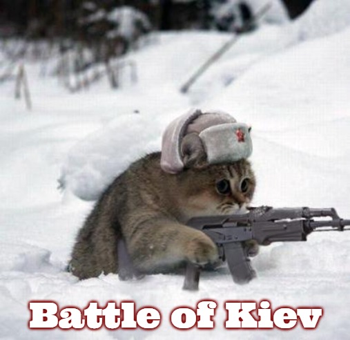 Cute Sad Soviet War Kitten | Battle of Kiev | image tagged in cute sad soviet war kitten,slavic,kiev,slm,ukraine | made w/ Imgflip meme maker