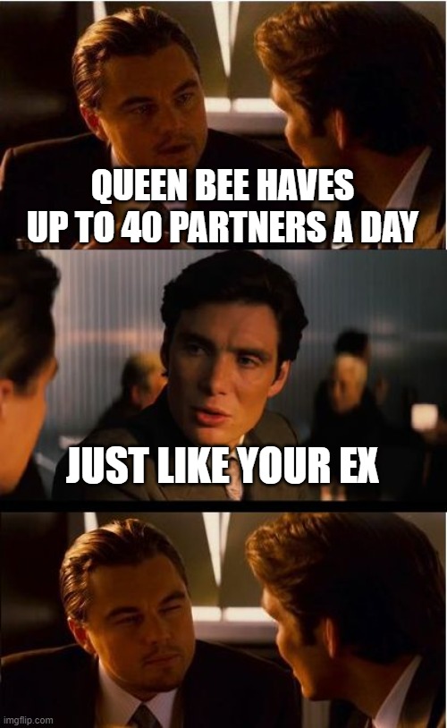 big bruh moment | QUEEN BEE HAVES UP TO 40 PARTNERS A DAY; JUST LIKE YOUR EX | image tagged in memes,inception | made w/ Imgflip meme maker