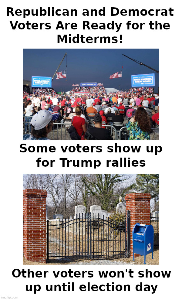 Voters Are Ready for the Midterms! | image tagged in republicans,democrats,voters,dead voters,voter fraud | made w/ Imgflip meme maker