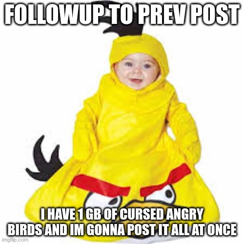 FOLLOWUP TO PREV POST; I HAVE 1 GB OF CURSED ANGRY BIRDS AND IM GONNA POST IT ALL AT ONCE | made w/ Imgflip meme maker