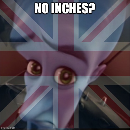 NO INCHES? | made w/ Imgflip meme maker