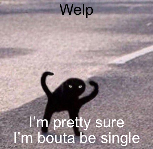 Cursed cat temp | Welp; I’m pretty sure I’m bouta be single | image tagged in cursed cat temp | made w/ Imgflip meme maker