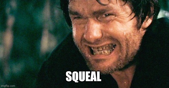 Squeal Like A Pig | SQUEAL | image tagged in squeal like a pig | made w/ Imgflip meme maker