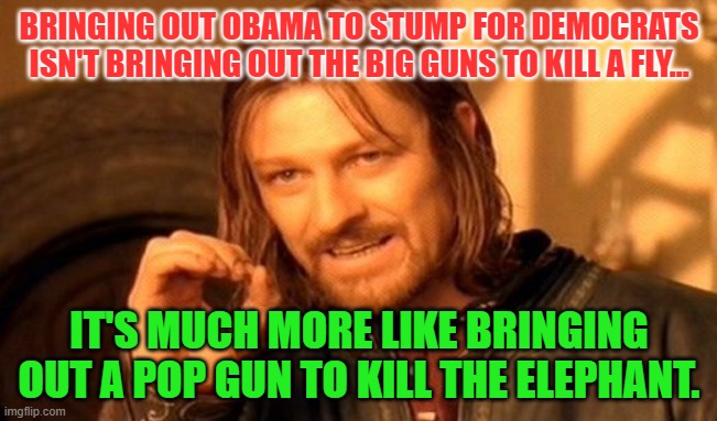 One Does Not Simply | BRINGING OUT OBAMA TO STUMP FOR DEMOCRATS ISN'T BRINGING OUT THE BIG GUNS TO KILL A FLY... IT'S MUCH MORE LIKE BRINGING OUT A POP GUN TO KILL THE ELEPHANT. | image tagged in memes,one does not simply | made w/ Imgflip meme maker