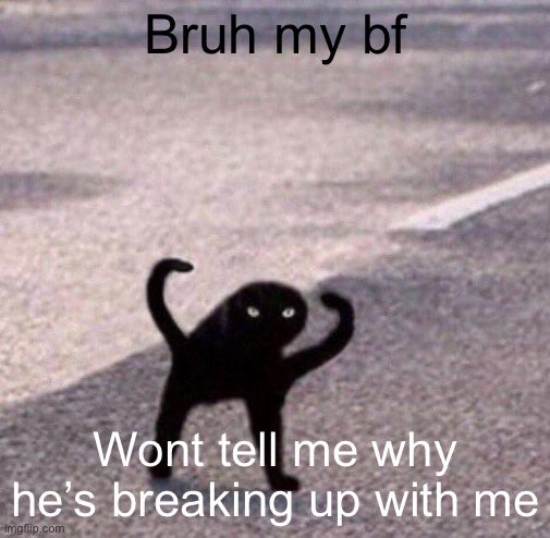 Cursed cat temp | Bruh my bf; Wont tell me why he’s breaking up with me | image tagged in cursed cat temp | made w/ Imgflip meme maker