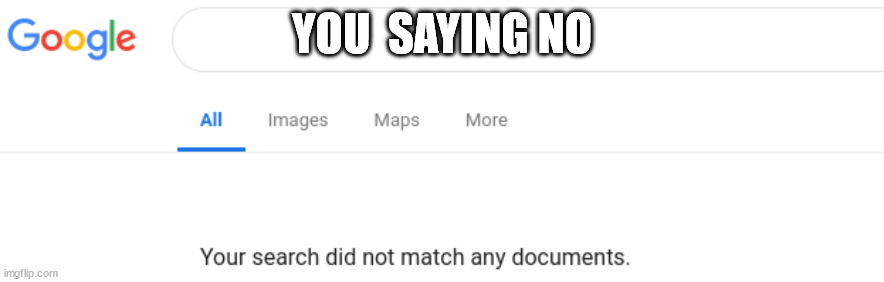 Google No Results | YOU  SAYING NO | image tagged in google no results | made w/ Imgflip meme maker