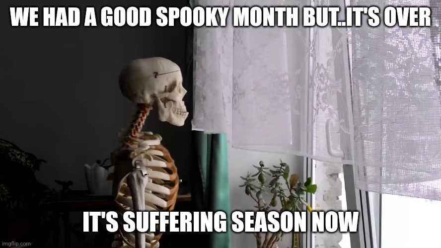 November..the pain before Christmas.. | WE HAD A GOOD SPOOKY MONTH BUT..IT'S OVER; IT'S SUFFERING SEASON NOW | image tagged in sad skeleton | made w/ Imgflip meme maker
