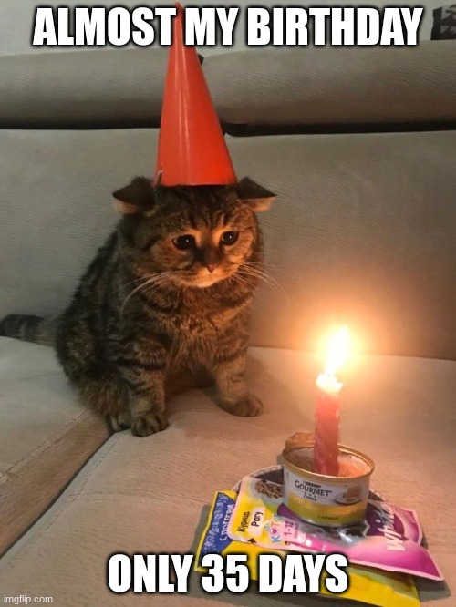 b-day? more like D-day 1944 |  ALMOST MY BIRTHDAY; ONLY 35 DAYS | image tagged in sad birthday cat,my birthday,almost there | made w/ Imgflip meme maker