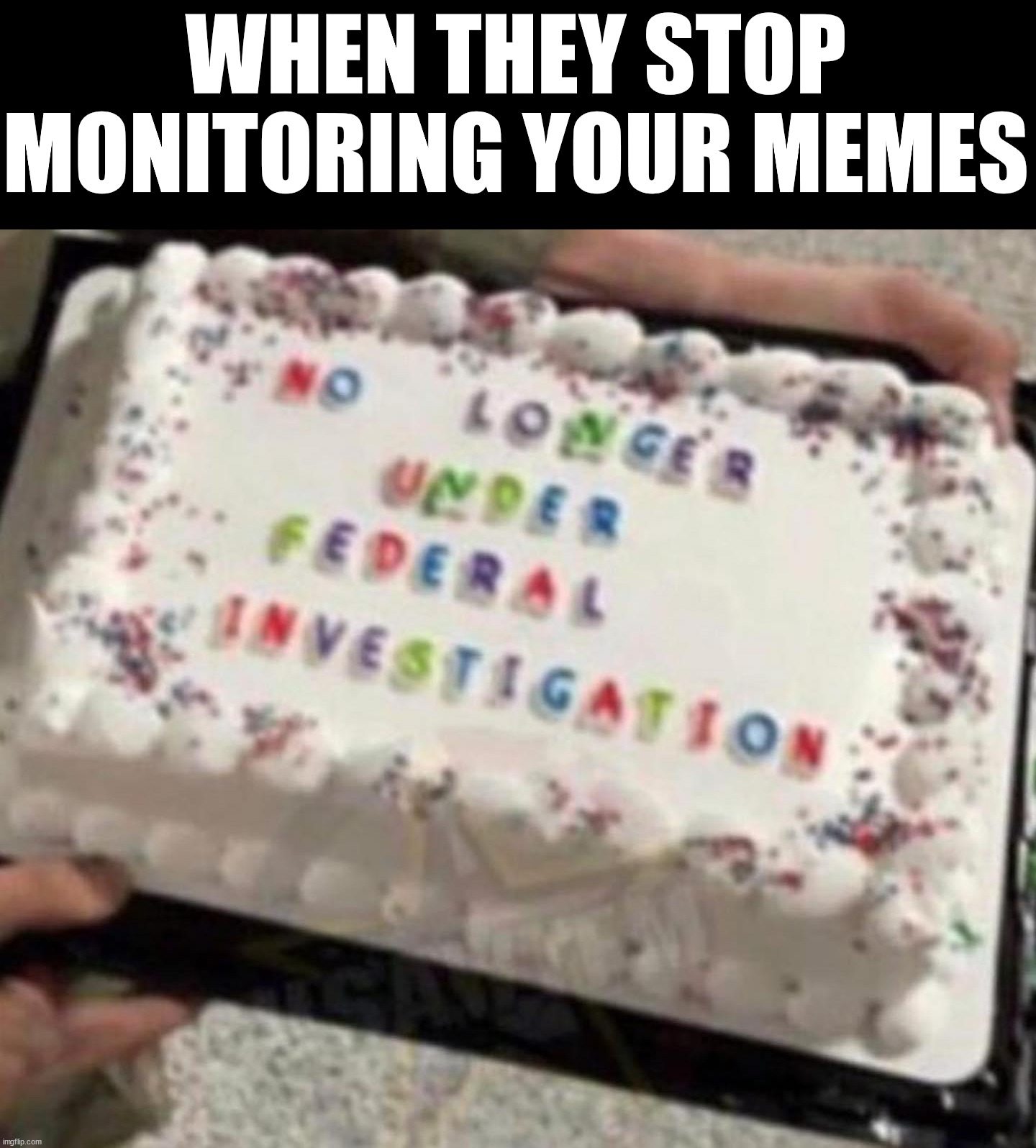 When the FBI stops watching your memes | WHEN THEY STOP MONITORING YOUR MEMES | image tagged in politics,political meme,fbi | made w/ Imgflip meme maker