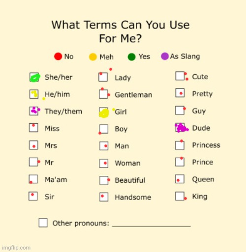 Pronouns Sheet | image tagged in pronouns sheet | made w/ Imgflip meme maker