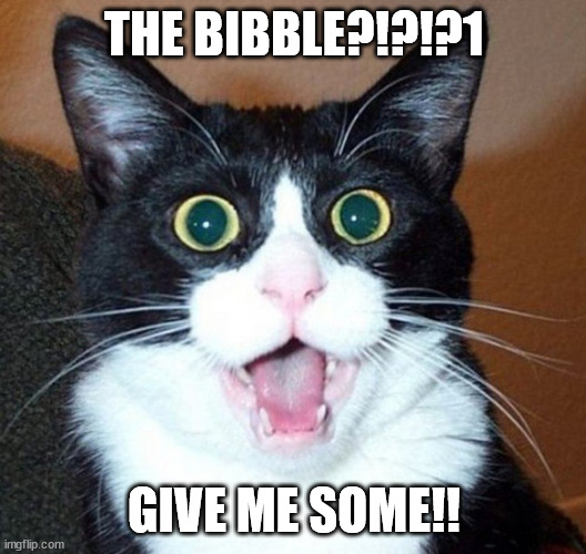 Suprised-cat | THE BIBBLE?!?!?1 GIVE ME SOME!! | image tagged in suprised-cat | made w/ Imgflip meme maker